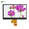 Display TFT da 11,6 pollici TFT ad alta risoluzione 1920*1080 IPS LCD