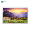 Display TFT da esterno da 10,1 pollici LCD IPS 1280*800 per applicazioni industriali